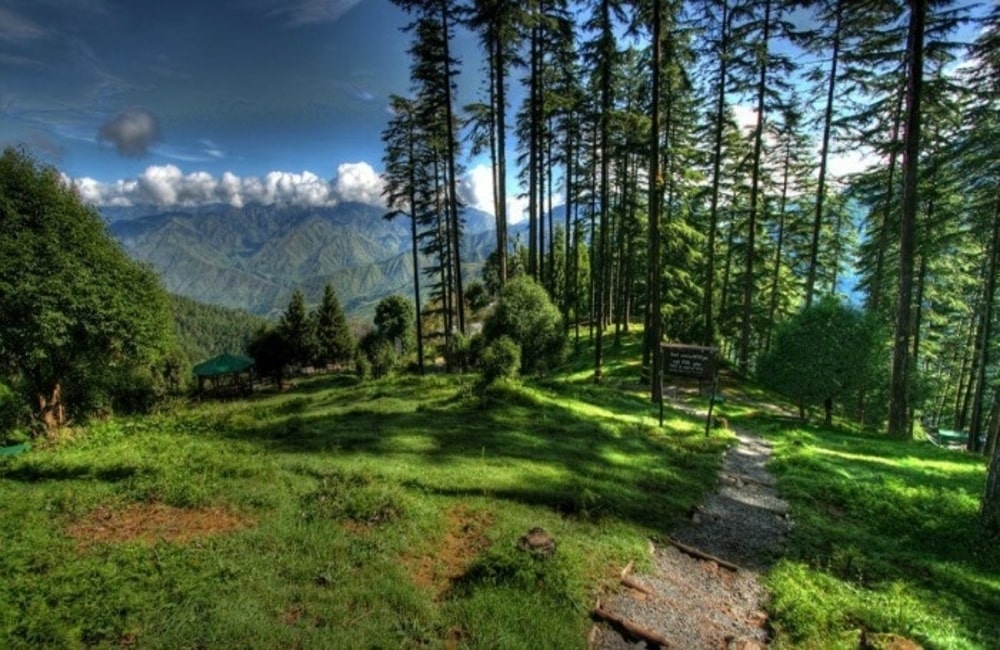 Mussoorie Nature Escape